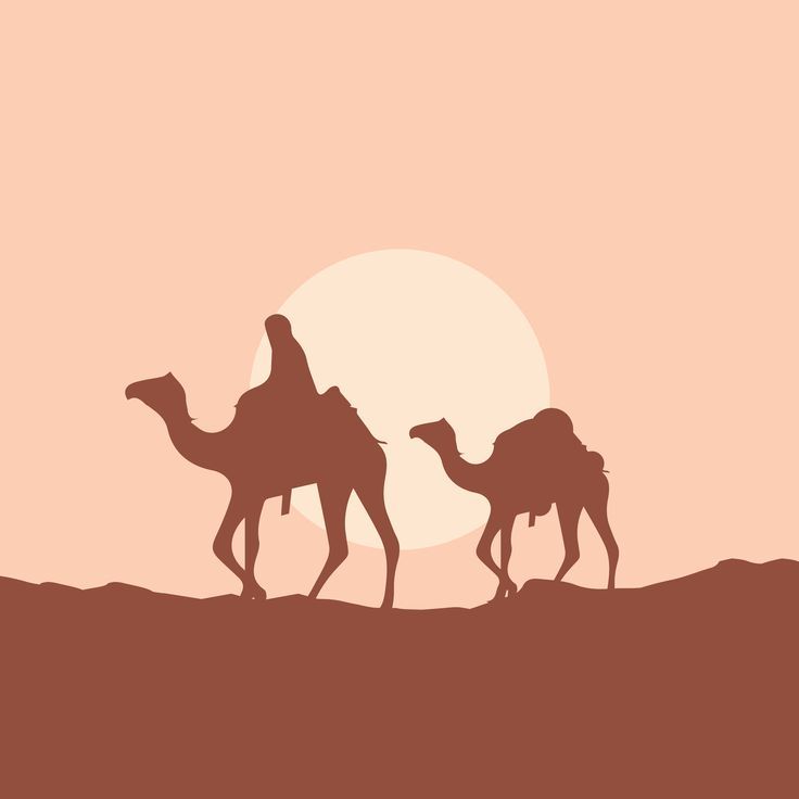 Sijilmassa – Sapos Parfums : l’ambre sacré venu du désert