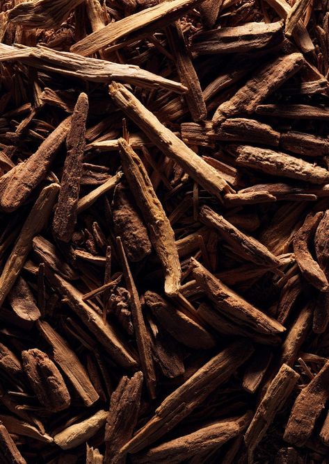 Santal en parfumerie artisanale entre douceur boisée, texture crémeuse et élégance durable