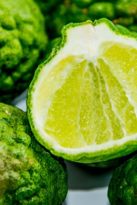 Bergamote en parfumerie artisanale entre fraîcheur vive, éclat hespéridé et départ lumineux