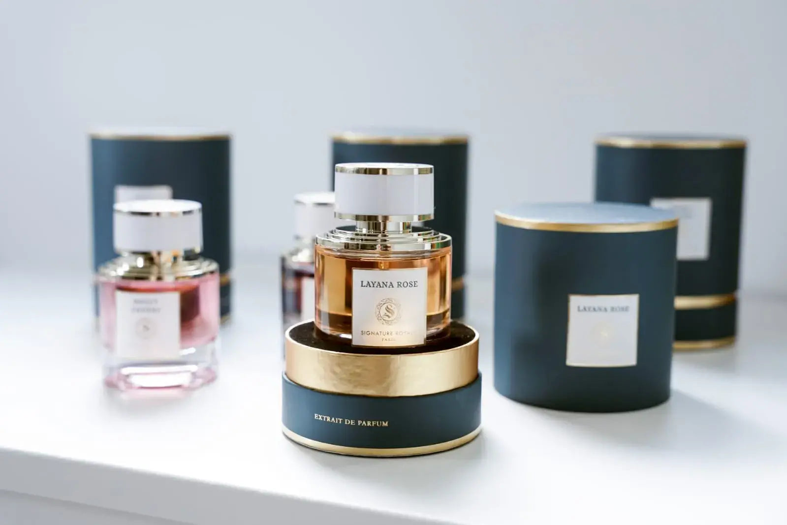 Parfums Signature Royale, collection élégante entre luxe, caractère et portabilité