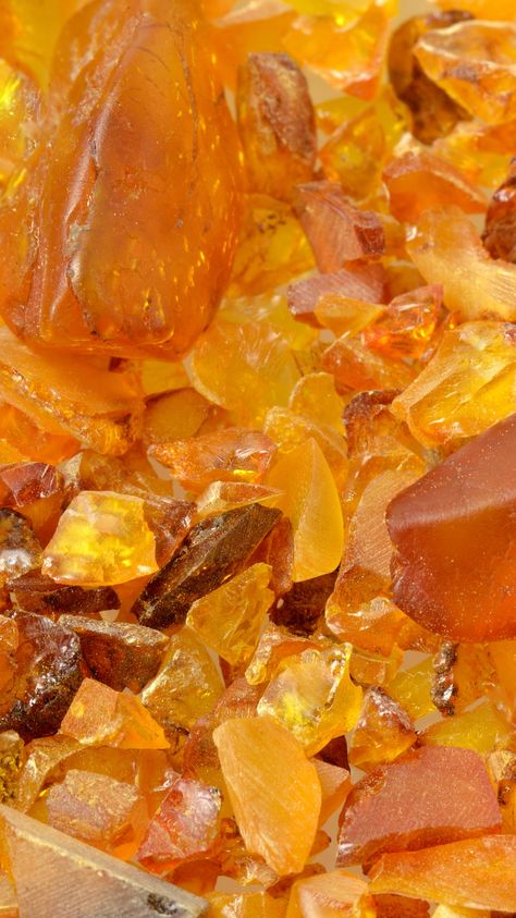 Parfums ambres au sillage chaud sensuel et profond entre resines vanille et bois