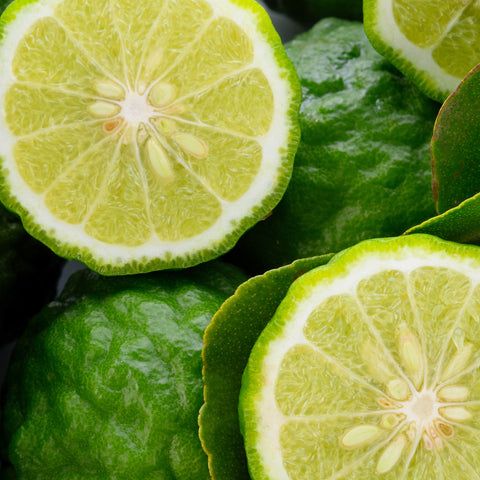 Bergamote en parfumerie, agrume lumineux et élégant au cœur des parfums frais et hespéridés