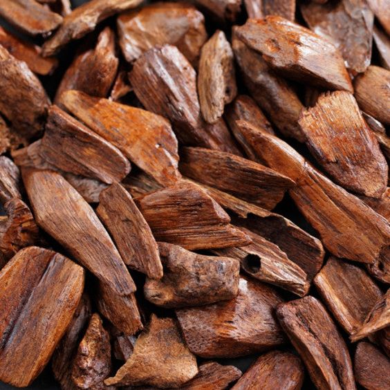 Bois de santal en parfumerie, note boisée crémeuse et élégante au cœur des parfums raffinés