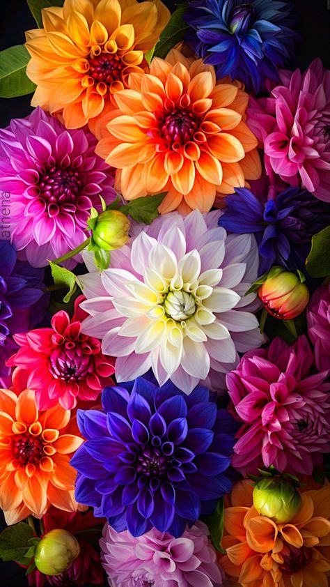 Bouquet floral clair dans une composition lumineuse