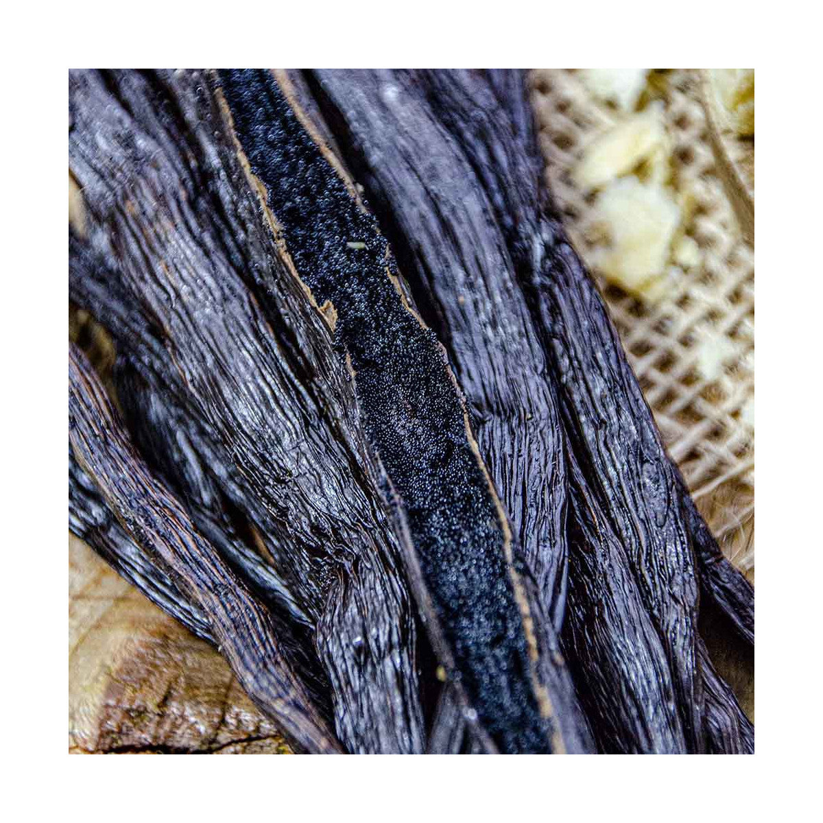 Vaniglia di Sicilia parfum vanillé lumineux entre douceur solaire et élégance