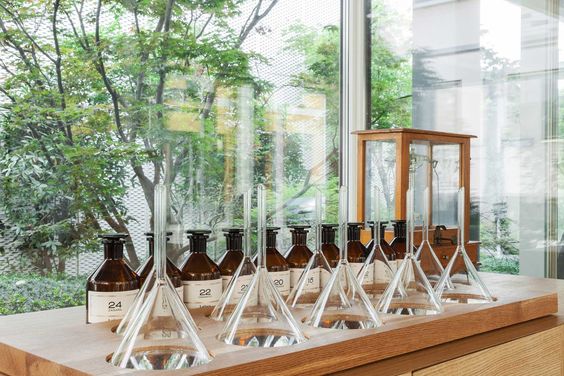 Exploration des parfums de niche et des fragrances uniques avec méthode et repères olfactifs