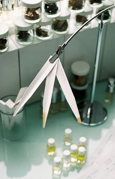 Tendances du parfum de niche et nouvelles attentes autour des signatures olfactives
