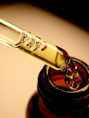 Illustration autour des secrets de la parfumerie et de la construction d’un parfum captivant