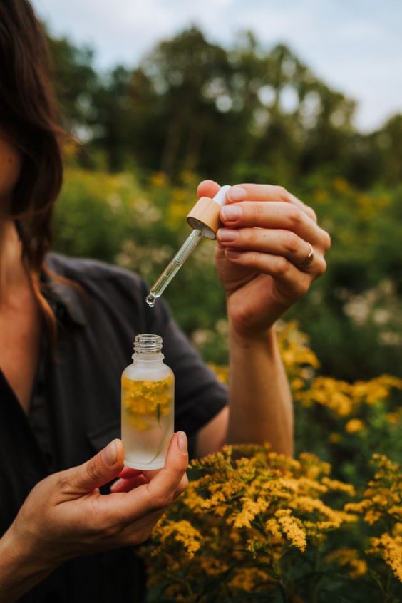 Illustration de laboratoire sur l’évolution des tendances en parfumerie entre tradition et innovation