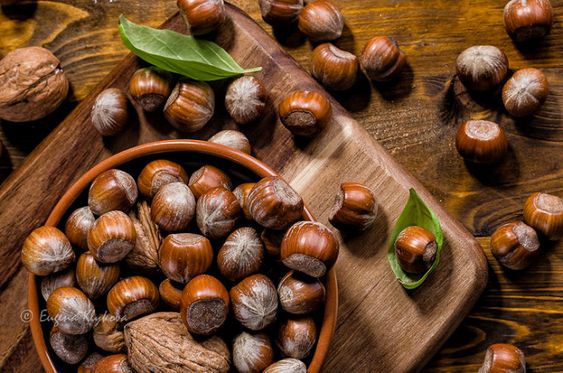 La noisette en parfumerie comme note gourmande douce et grillée dans un parfum élégant