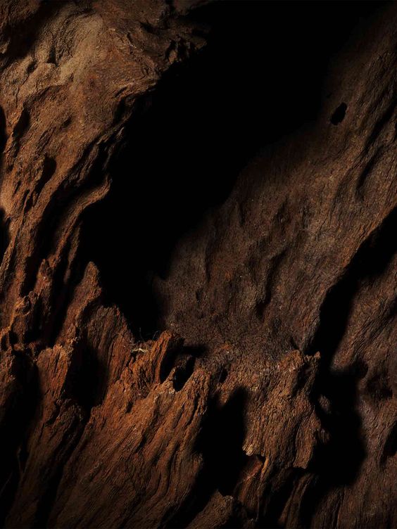 Le oud chez Noble Essence dans une approche élégante et portable de la parfumerie de niche