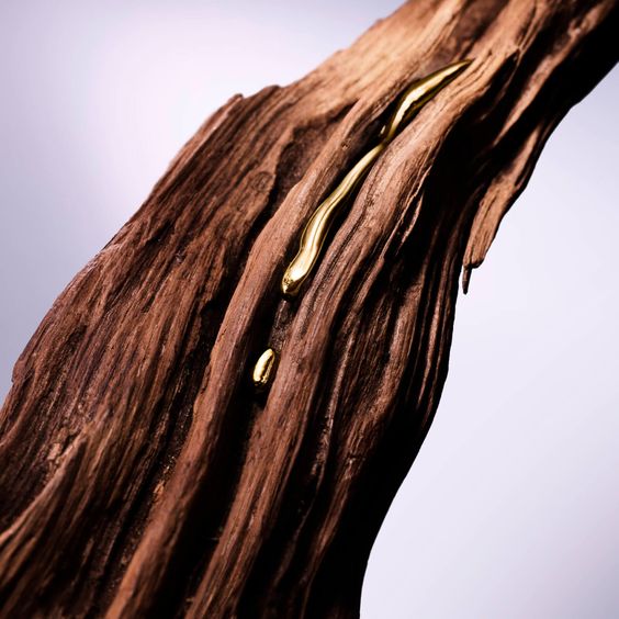 Oud en parfumerie orientale, matière profonde et prestigieuse au sillage boisé et intense