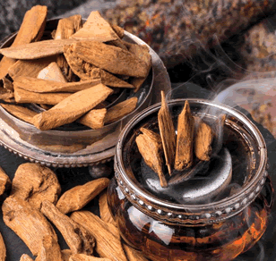 Illustration autour du oud et des parfums orientaux de niche