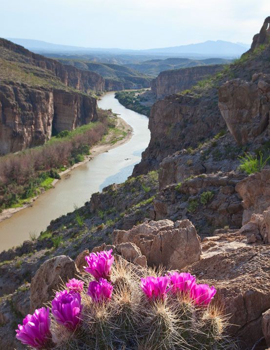 RIO GRANDE : L’Odyssée Olfactive sur les Rives Mystiques du Fleuve Brésilien