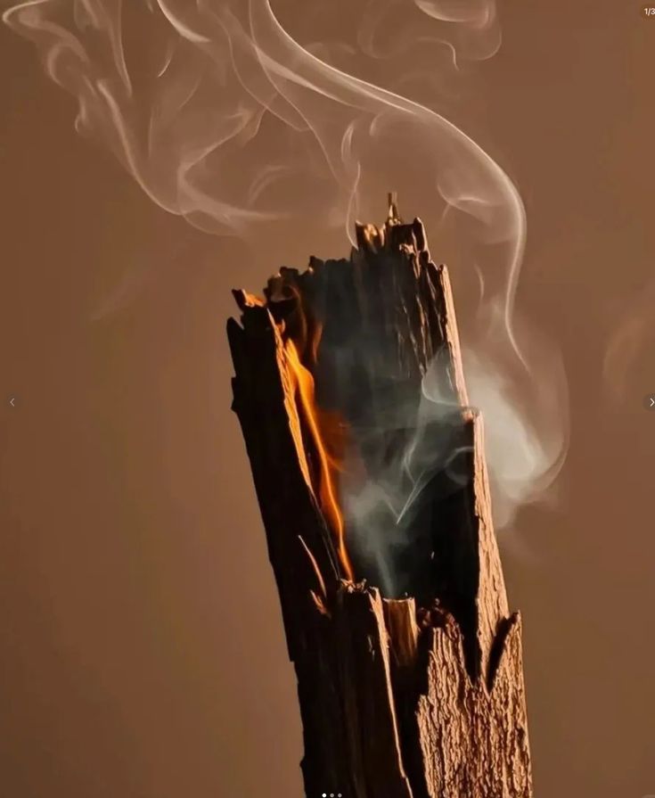 bois de oud en combustion avec fumée parfum oriental notes boisées et ambrées