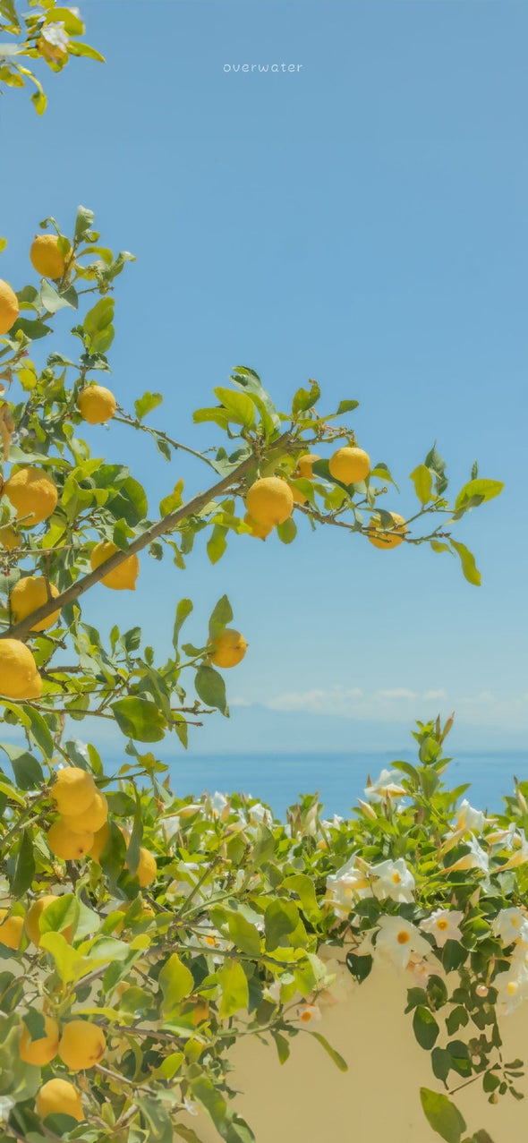 Parfum frais qui tient longtemps : comment bien choisir sans sacrifier l'élégance ?