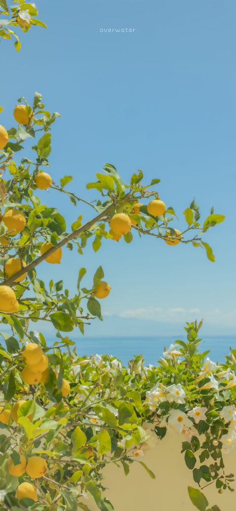 Parfum frais qui tient longtemps : comment bien choisir sans sacrifier l'élégance ?