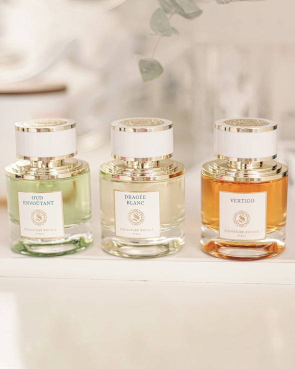 Quel parfum Signature Royale choisir selon votre style ? Le guide simple pour ne pas vous tromper