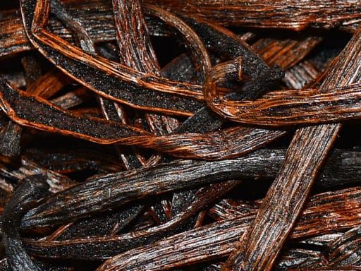 Quel parfum vanille choisir si on aime les parfums orientaux ?