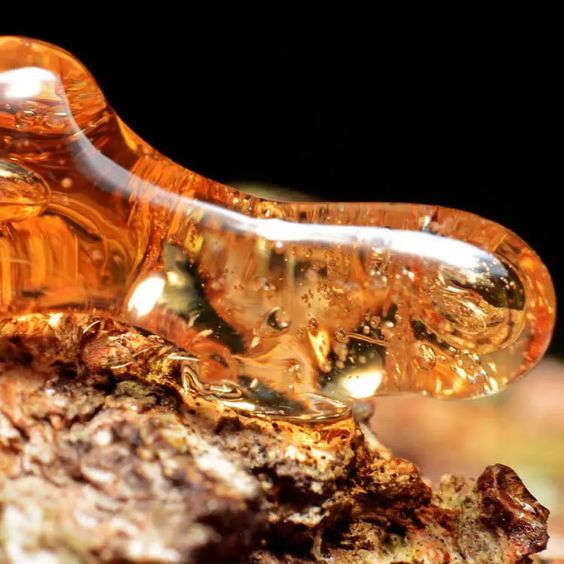 Matière ambrée chaude et lumineuse pour illustrer un article sur le parfum ambré femme