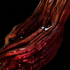 Parfum et culture : pourquoi une fragrance raconte toujours plus qu’une odeur