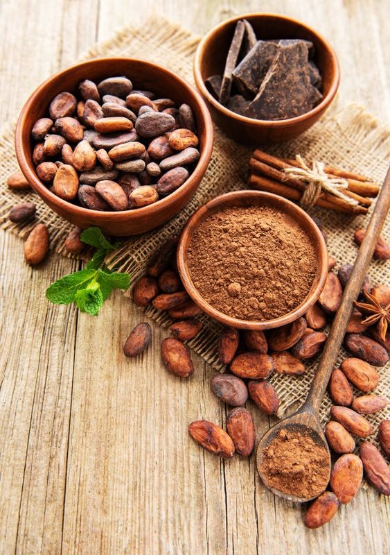 Cacao vs Chocolat : Distinctions Olfactives et Promesse de Fusion