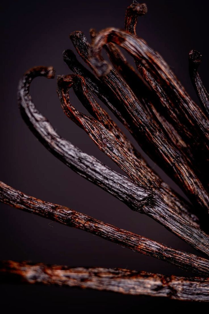 Parfum vanille pas trop sucré — vanille douce et élégante — Sapos Parfums