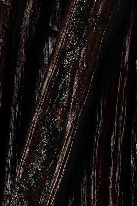 Parfum vanille longue tenue : comment choisir une signature chaleureuse qui marque vraiment