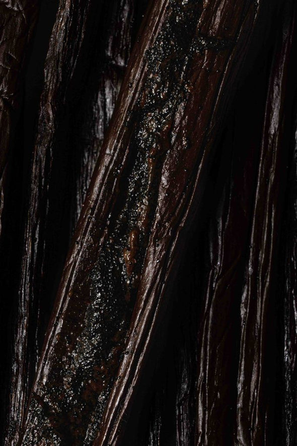 Parfum vanille longue tenue : comment choisir une signature chaleureuse qui marque vraiment