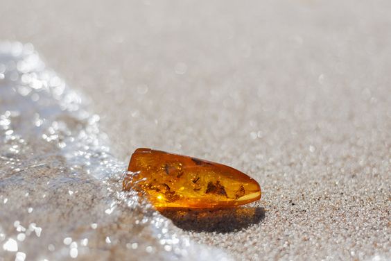 Noble Essence : une collection de parfums qui raconte des voyages, des lieux et des imaginaires
