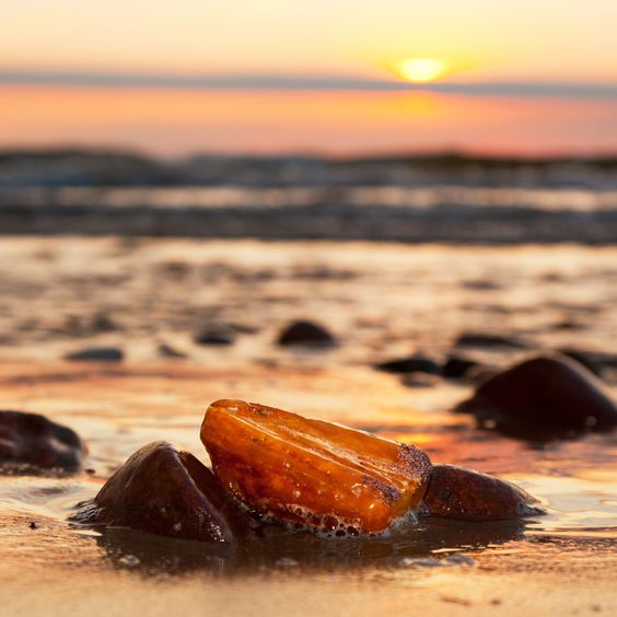Mediterranean Amber, parfum solaire entre agrumes lumineux, épices et ambre élégant