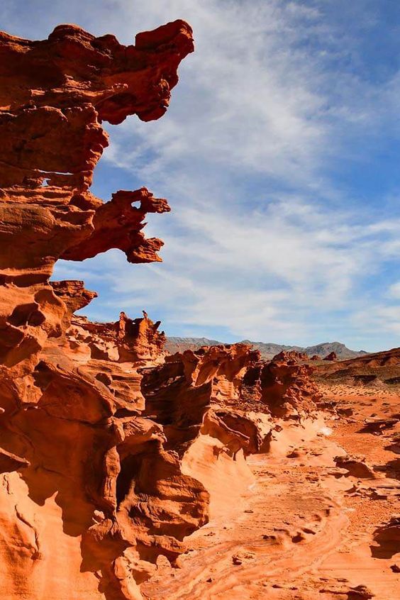 Nevada : Éclats Épicés sous les Étoiles du Désert