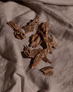 Quel parfum porter selon la saison ? Le guide pour adapter sa fragrance toute l’année