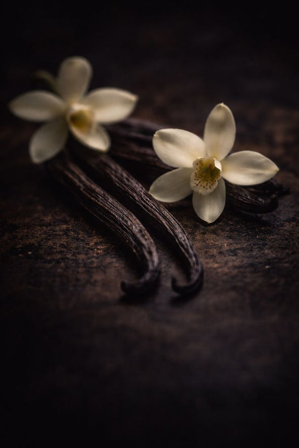 Sugar Milk : pourquoi les parfums lactés et vanillés plaisent autant ?