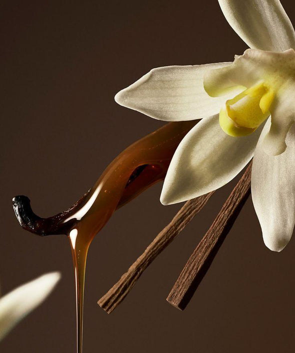 Quel parfum vanille choisir si on aime les parfums gourmands ?