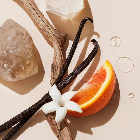 Parfum pamplemousse : comment reconnaître un agrume plus sec et plus énergique ?