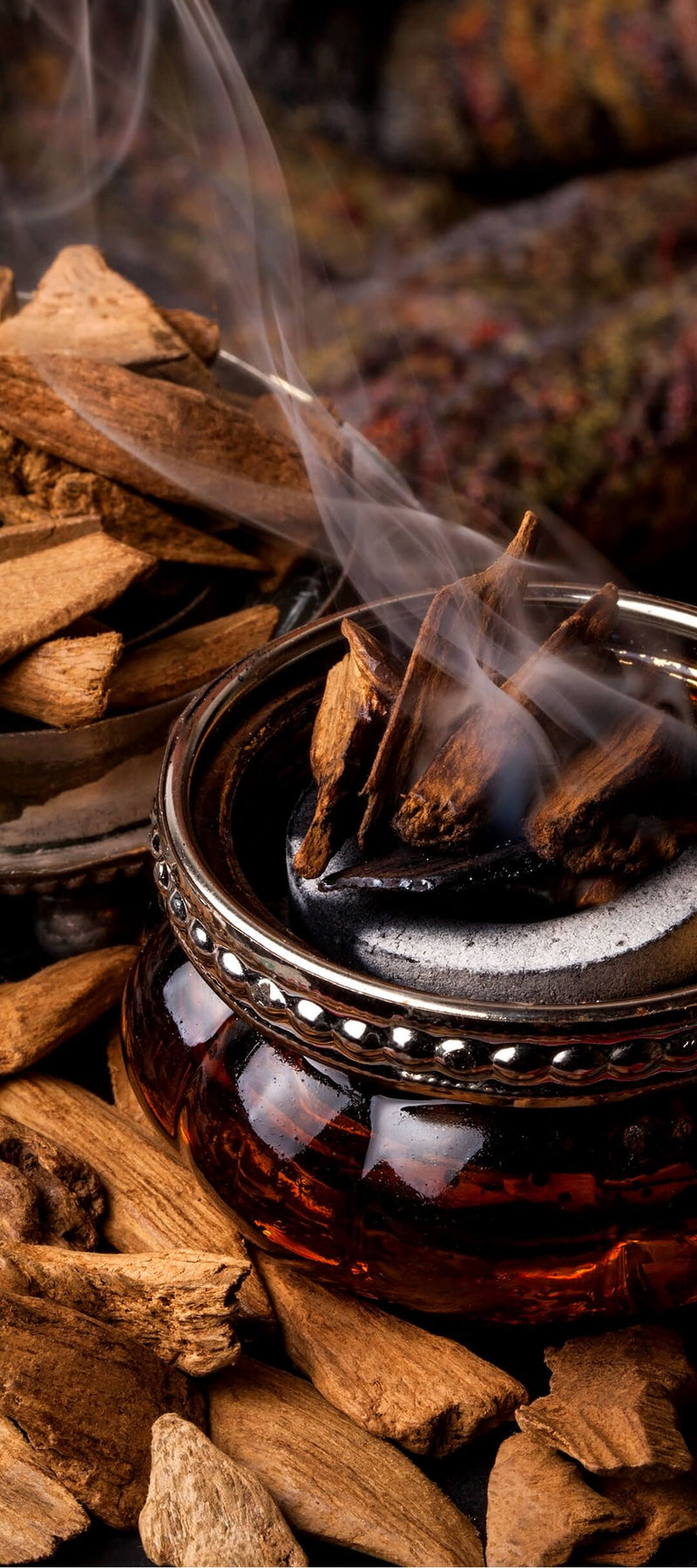 Orientaux & oud
