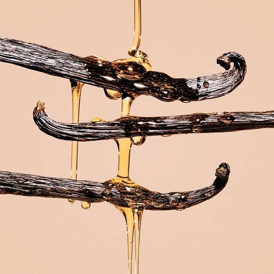 parfum gourmand vanille longue tenue texture miel et gousses de vanille