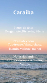 Parfum Caraïba avec notes de coco, vanille, pistache, monoï et ylang-ylang